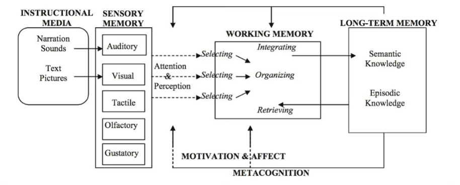Cognitive Theory of Multimedia Learning model showing the movement of information from instructional media through sensory and working memory into long-term memory