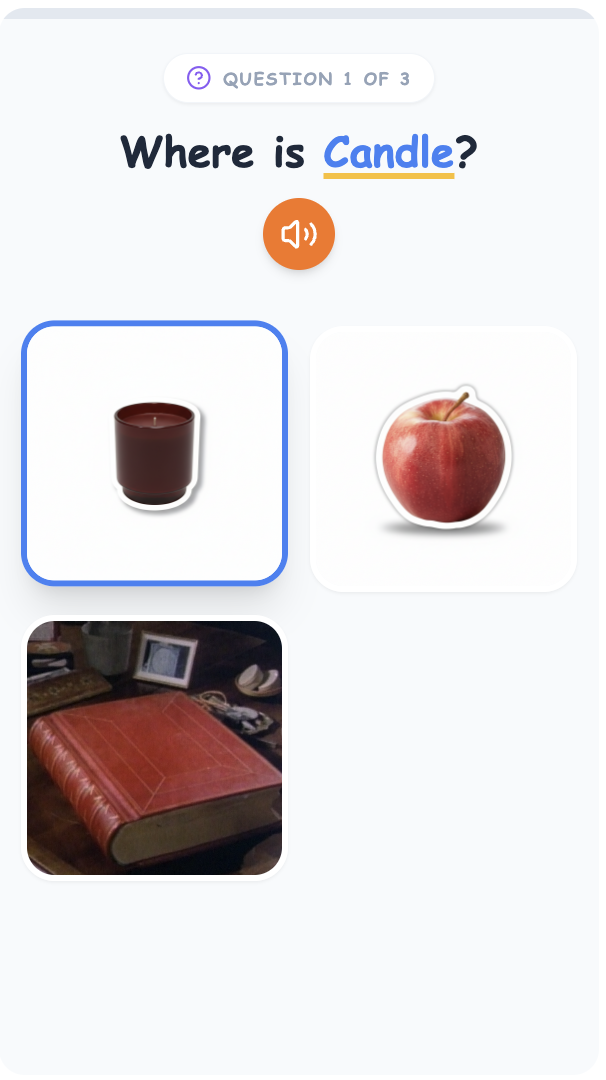 Immediate vocabulary quiz
